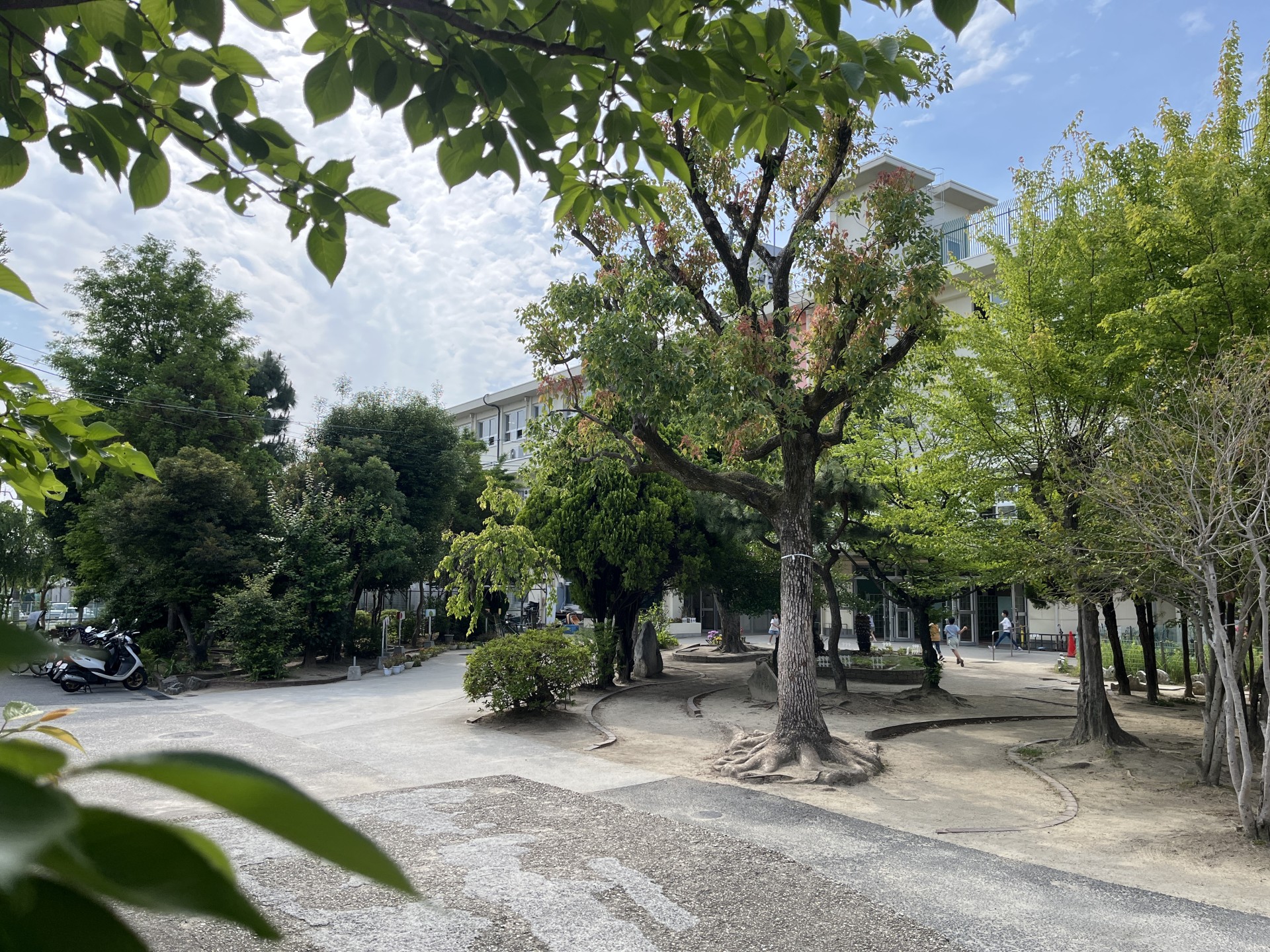 IMG_7861.jpeg