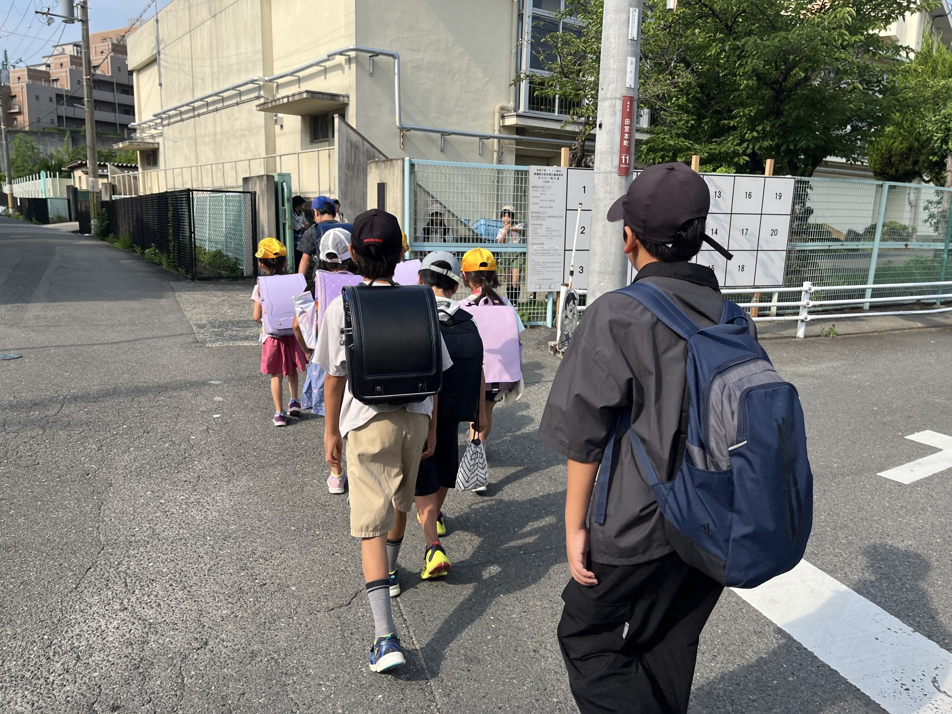 IMG_8824.jpeg