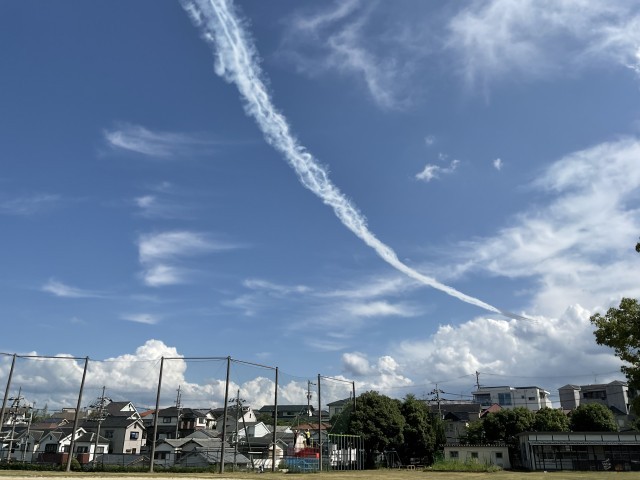 土曜日のブルーインパルス