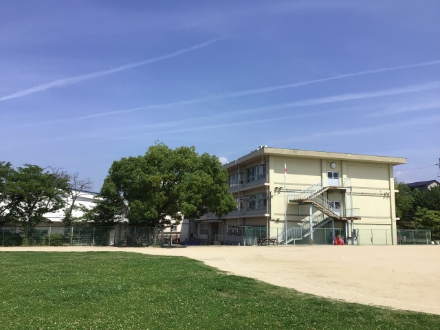IMG_4872.jpeg