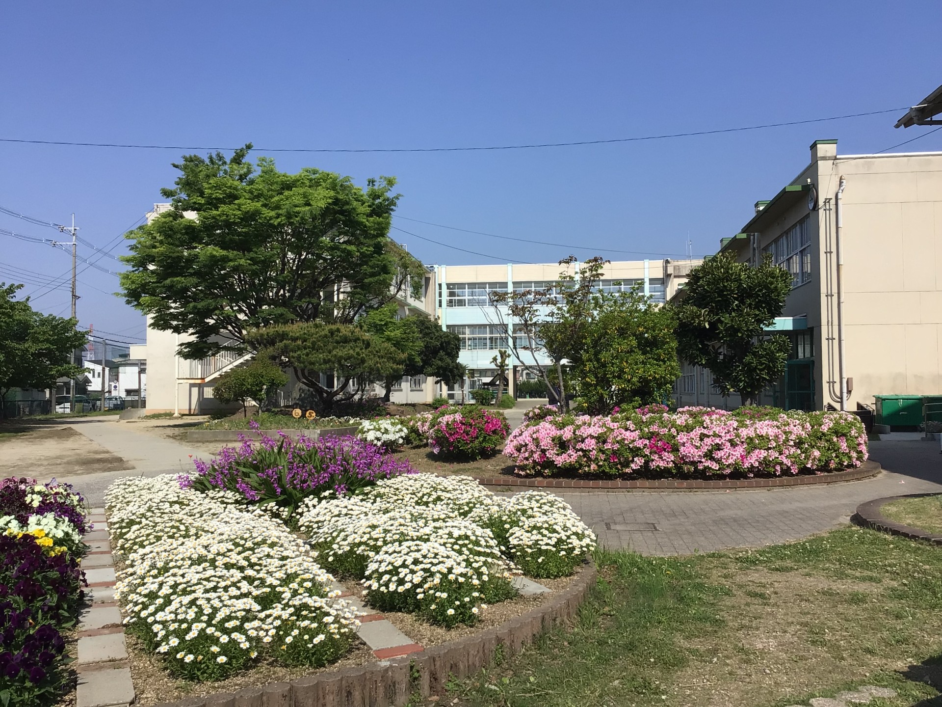 中庭花壇