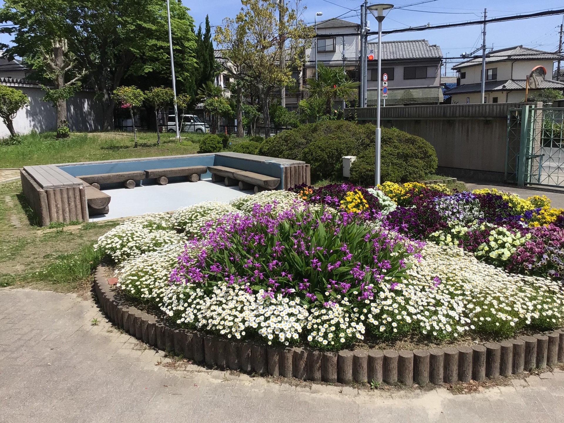 IMG_3288.jpeg