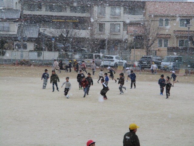 0110 初雪 (1).JPG