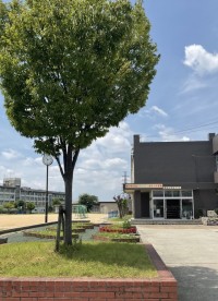 夏空と磯島小学校