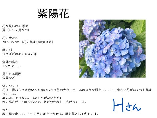 https://hirakata.schoolweb.ne.jp/2710065/blog_img/141940522?tm=20241219082834