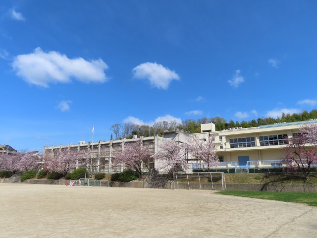 さだ東小学校　校庭と校舎