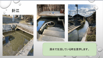 IMG_8855.gif