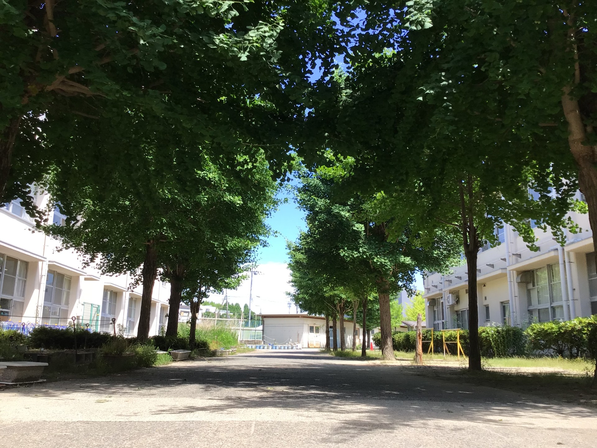 IMG_2287.jpeg