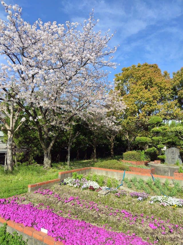 学校内の写真