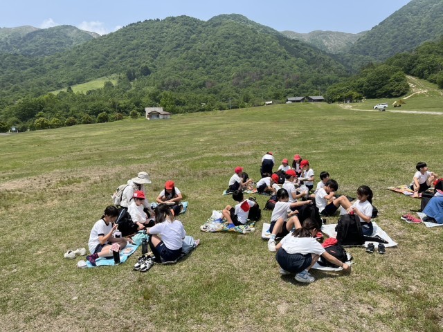 昼食の様子