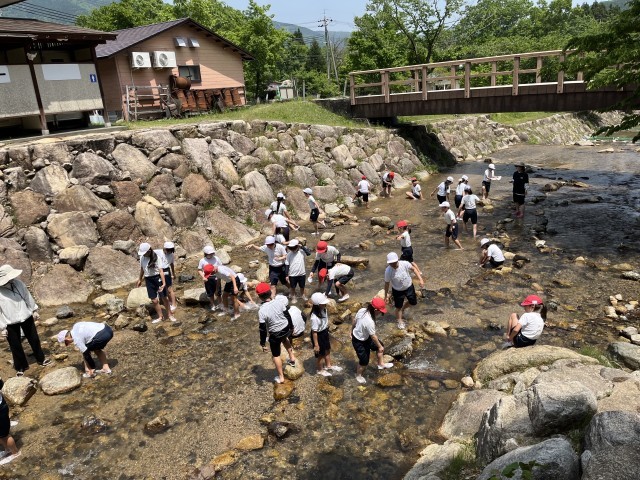 川遊びの様子