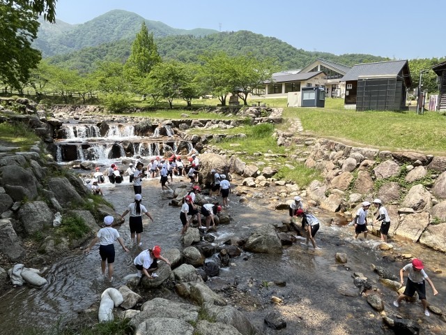 川遊びの様子