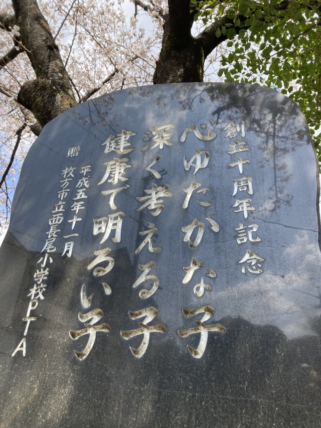 IMG_0490.jpeg