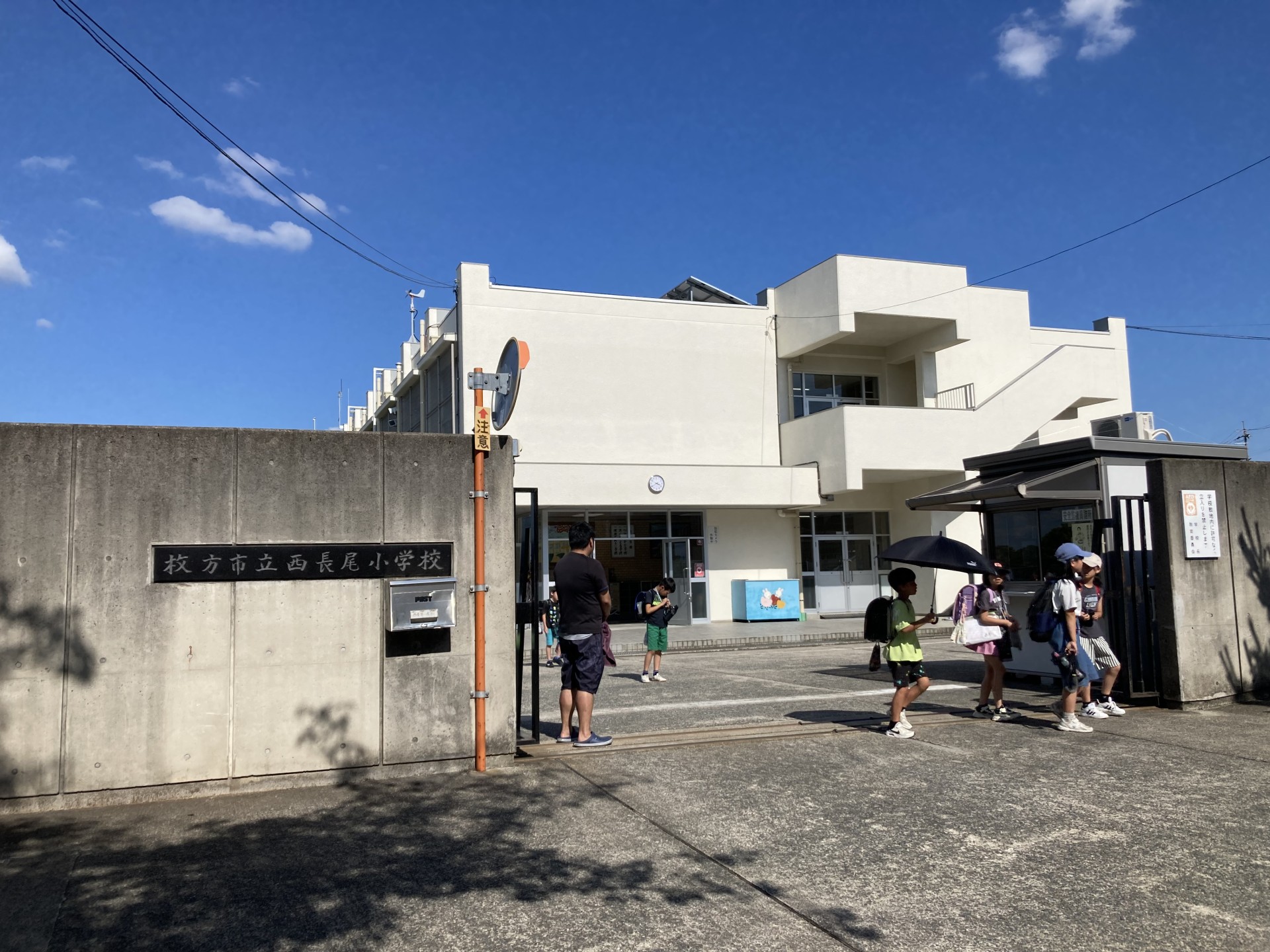 IMG_1379.jpeg