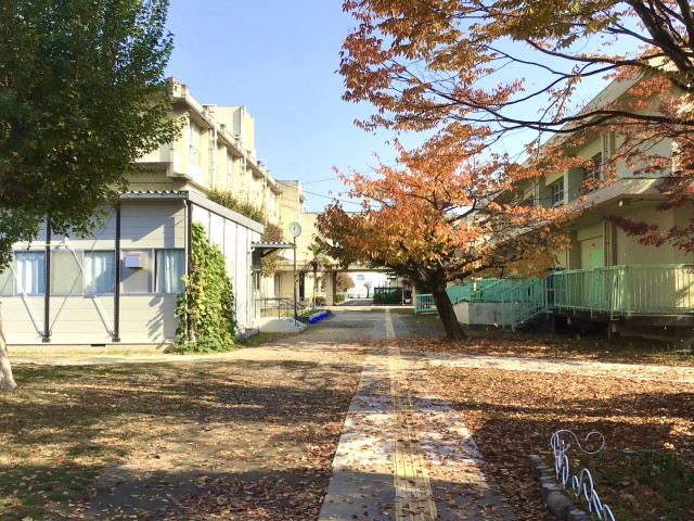 学校画像２