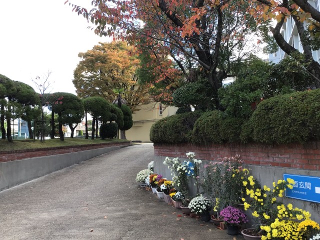 楠葉中学校外観（秋風景）