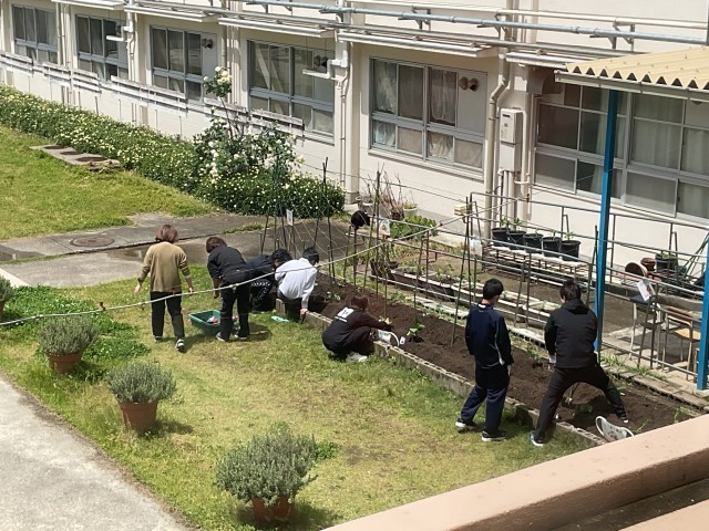 畑仕事②