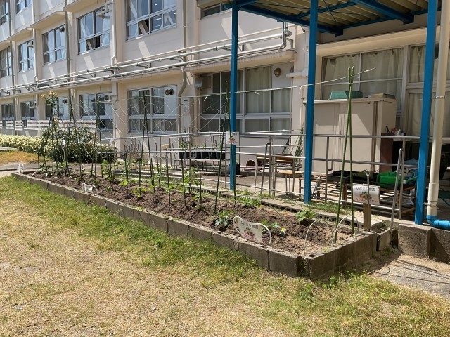 ひだまり菜園①