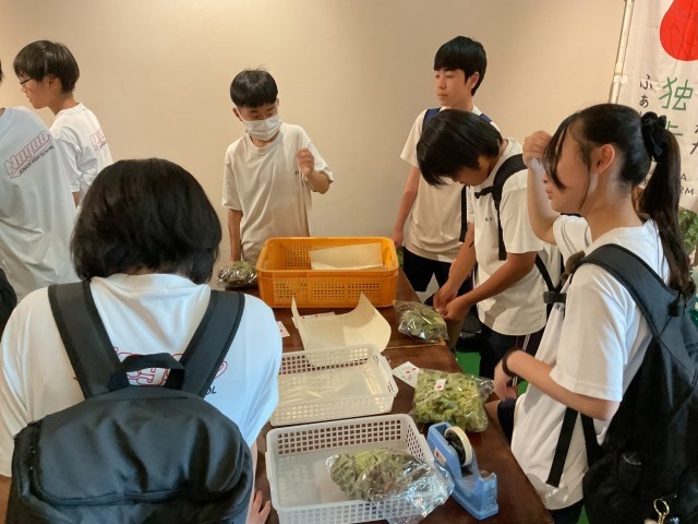 野菜出荷体験②