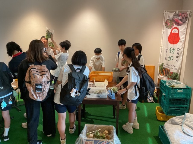 野菜出荷体験③