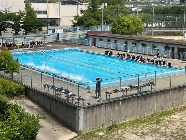水泳②