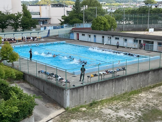水泳③