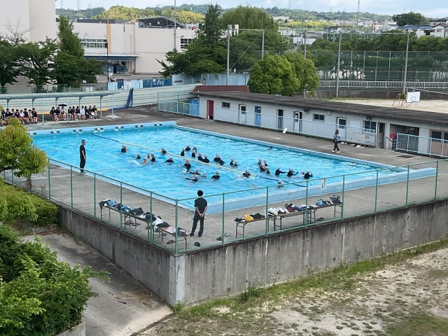 水泳④