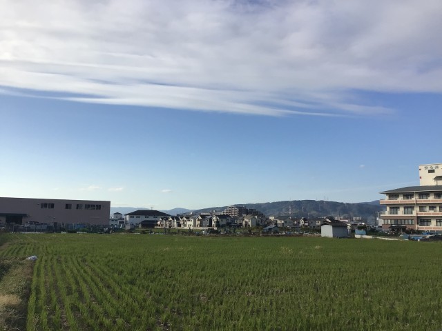 学校前の風景