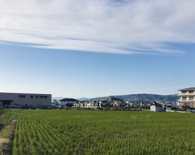 学校外風景